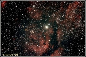 IC 1318