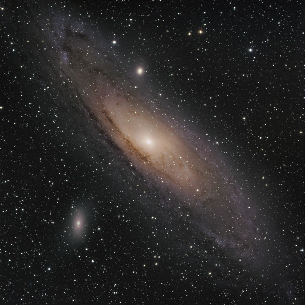 M31